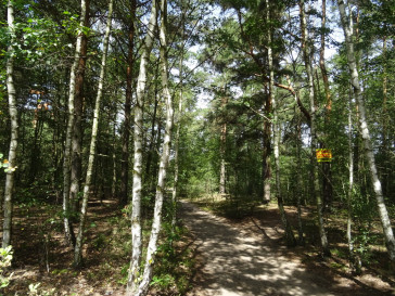Działka Sprzedaż Cieszanowice