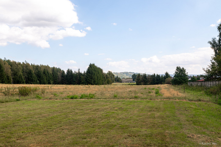 Dom Sprzedaż Pilzno Kraszewskiego 7
