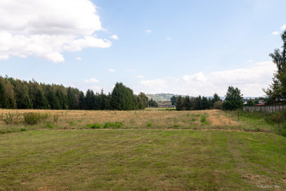 Dom Sprzedaż Pilzno Kraszewskiego