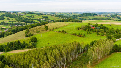 Działka Sprzedaż Krużlowa Wyżna