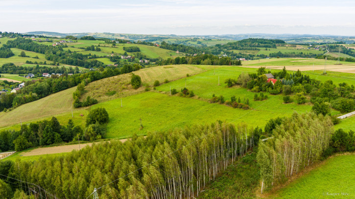 Działka Sprzedaż Krużlowa Wyżna 6