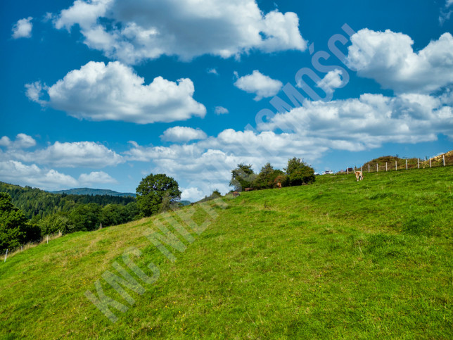 Działka Sprzedaż Jordanów 8