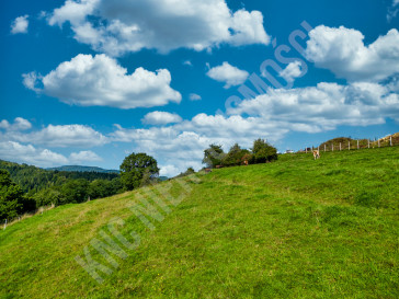 Działka Sprzedaż Jordanów