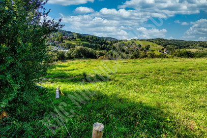 Działka Sprzedaż Jordanów