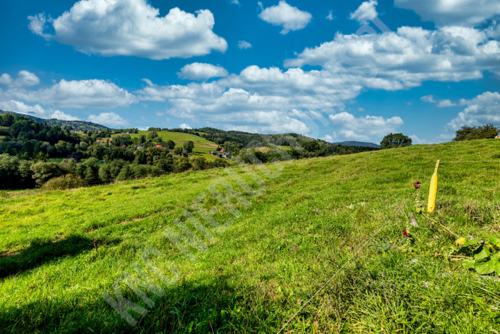 Działka Sprzedaż Jordanów 7