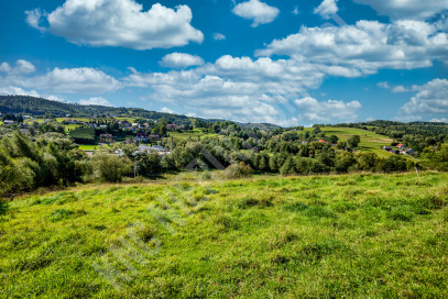 Działka Sprzedaż Jordanów