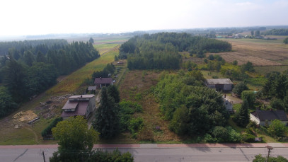 Działka Sprzedaż Dąbrowa