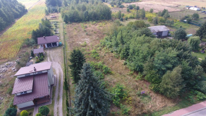 Działka Sprzedaż Dąbrowa