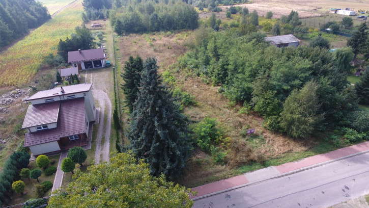 Działka Sprzedaż Dąbrowa 8