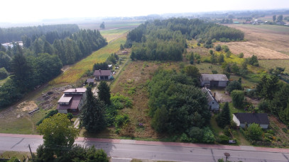 Działka Sprzedaż Dąbrowa