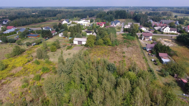 Działka Sprzedaż Dąbrowa 15