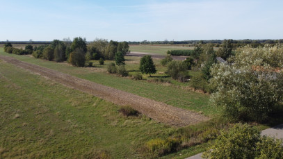 Działka Sprzedaż Sielce