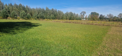 Działka Sprzedaż Korytnica