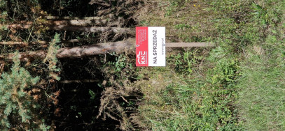 Działka Sprzedaż Adamów
