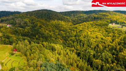 Działka Sprzedaż Jodłówka Tuchowska