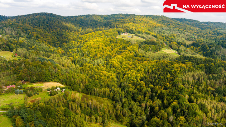 Działka Sprzedaż Jodłówka Tuchowska 1