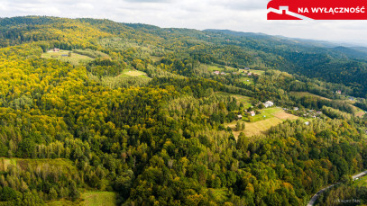 Działka Sprzedaż Jodłówka Tuchowska