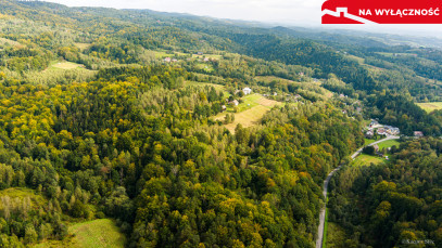 Działka Sprzedaż Jodłówka Tuchowska