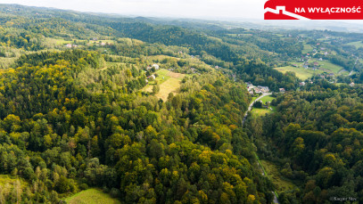 Działka Sprzedaż Jodłówka Tuchowska