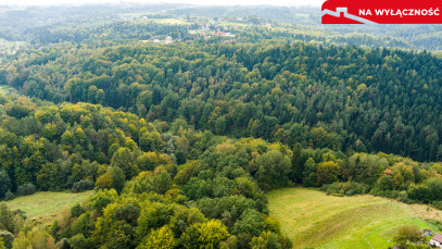 Działka Sprzedaż Jodłówka Tuchowska