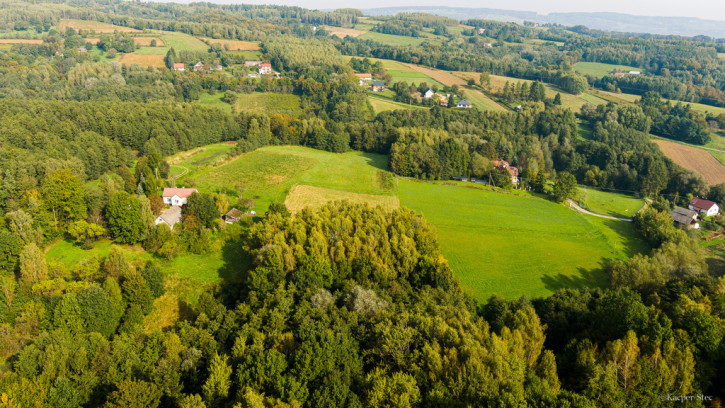 Działka Sprzedaż Lichwin 4