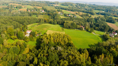 Działka Sprzedaż Lichwin