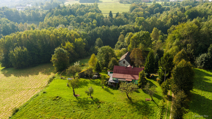 Działka Sprzedaż Lichwin 6