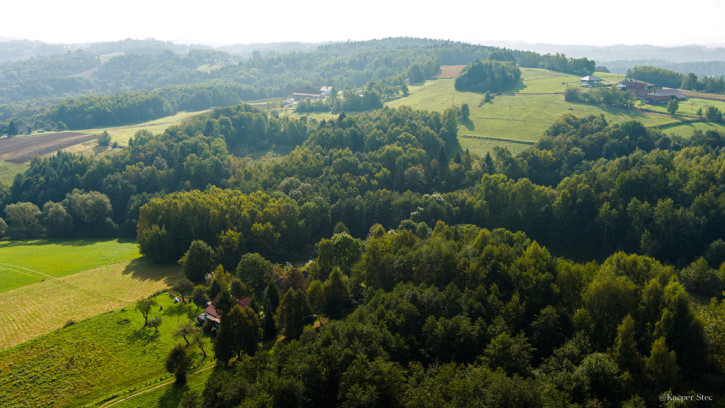 Działka Sprzedaż Lichwin 33