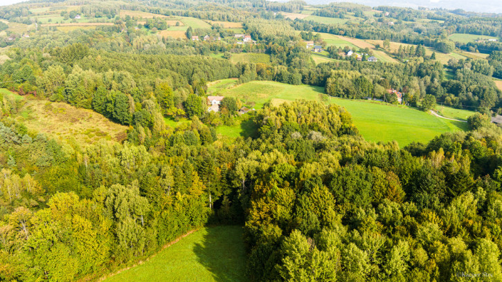 Działka Sprzedaż Lichwin 34