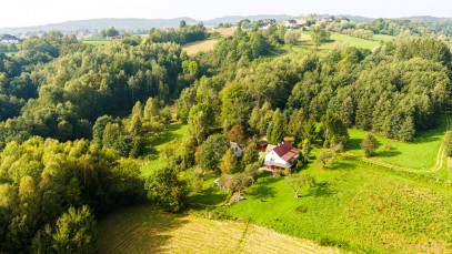 Dom Sprzedaż Lichwin