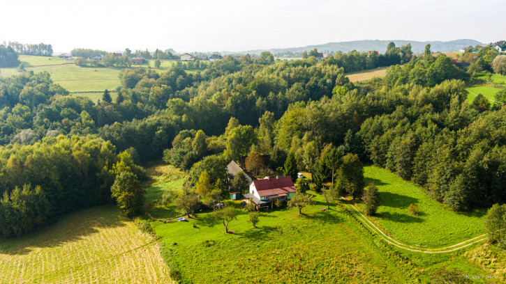 Dom Sprzedaż Lichwin 10
