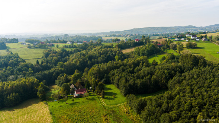 Dom Sprzedaż Lichwin 40