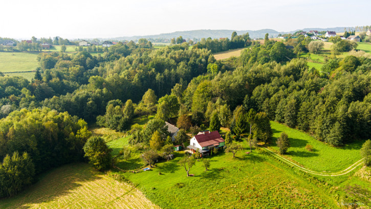 Dom Sprzedaż Lichwin 41