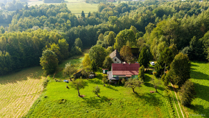 Dom Sprzedaż Lichwin 43