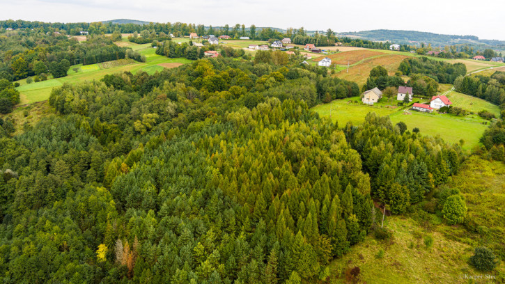 Działka Sprzedaż Zalasowa 3
