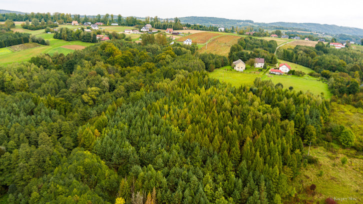Działka Sprzedaż Zalasowa 4