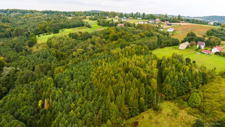 Działka Sprzedaż Zalasowa 2