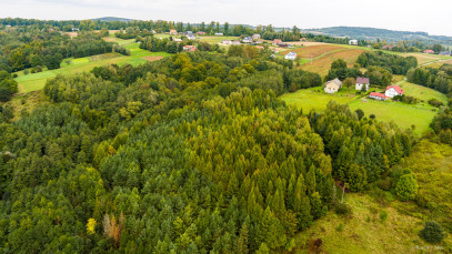 Działka Sprzedaż Zalasowa