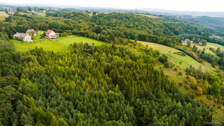 Działka Sprzedaż Zalasowa 9