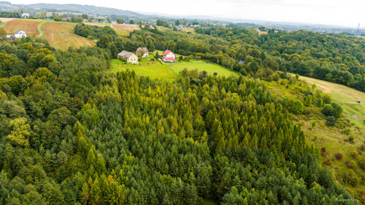 Działka Sprzedaż Zalasowa 7