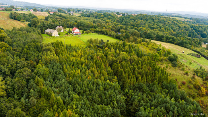Działka Sprzedaż Zalasowa 8