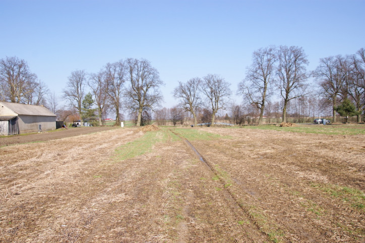 Działka Sprzedaż Stoczek-Kolonia 3