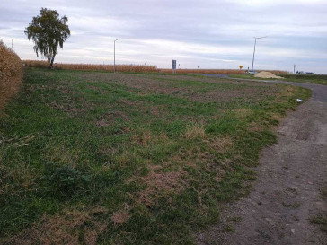 Działka Sprzedaż Radymno