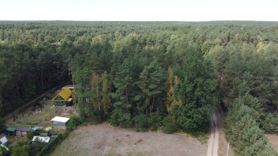 Działka Sprzedaż Wola Chodkowska