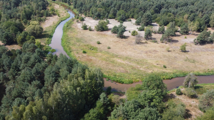 Działka Sprzedaż Wola Chodkowska 5