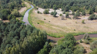 Działka Sprzedaż Wola Chodkowska