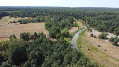 Działka Sprzedaż Wola Chodkowska