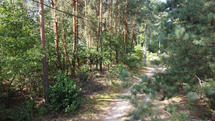 Działka Sprzedaż Wola Chodkowska 8