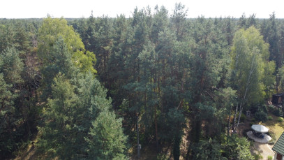 Działka Sprzedaż Wola Chodkowska
