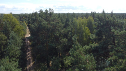 Działka Sprzedaż Wola Chodkowska